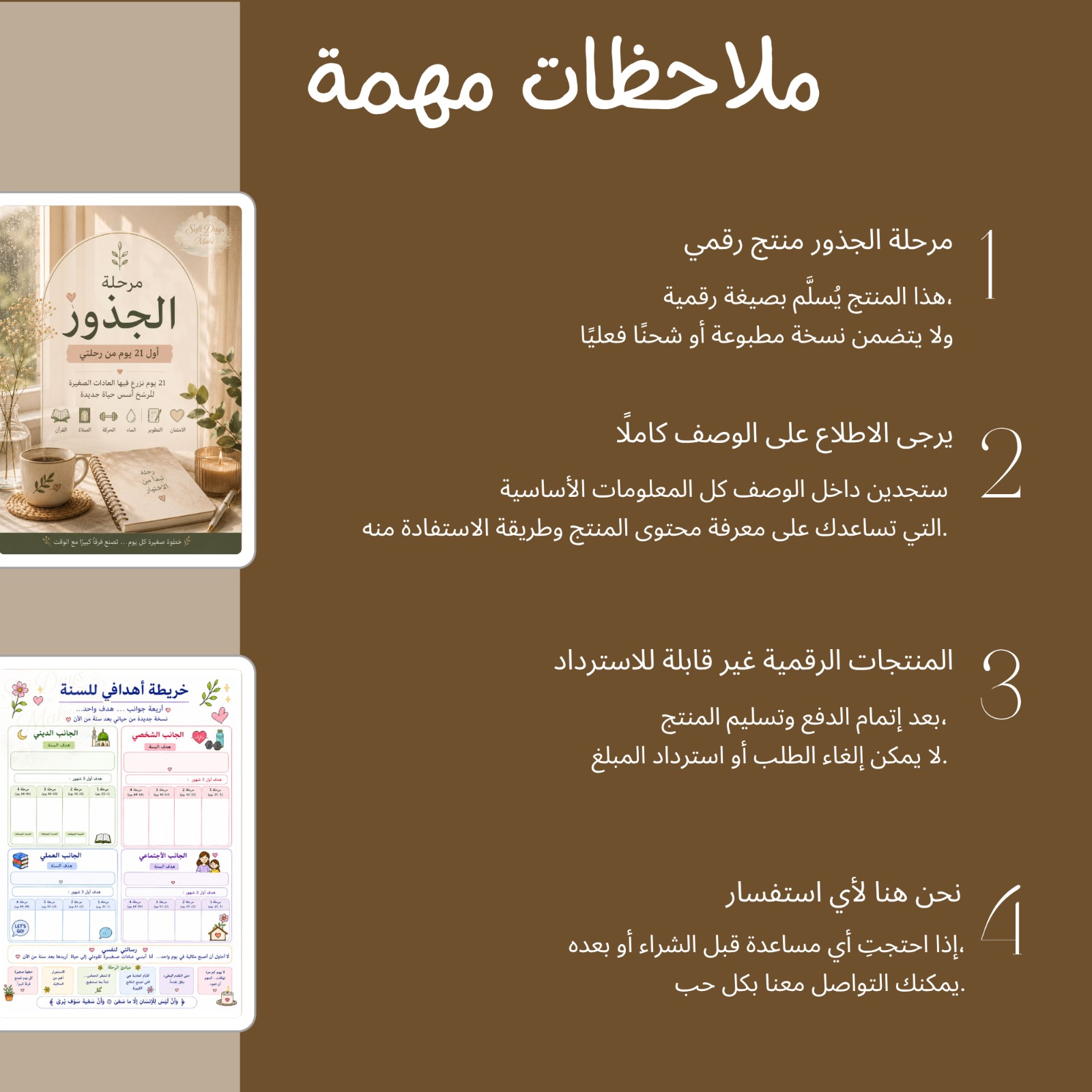 من داخل مرحلة جذور